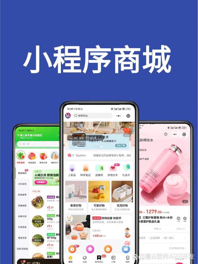 定制化企业软件:提升竞争力的制胜法宝